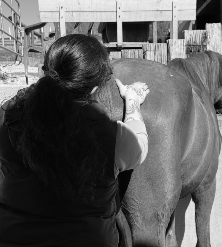 Physiotherapie Pfer, Physiotherapie Hund, Tierphysiotherapeutin, mobile Tierphysiotherapie, Günzburg, Leipheim, Ichenhausen, Kötz, Offingen, Burga, Jettingen-Scheppach, Sontheim, Niederstotzingen