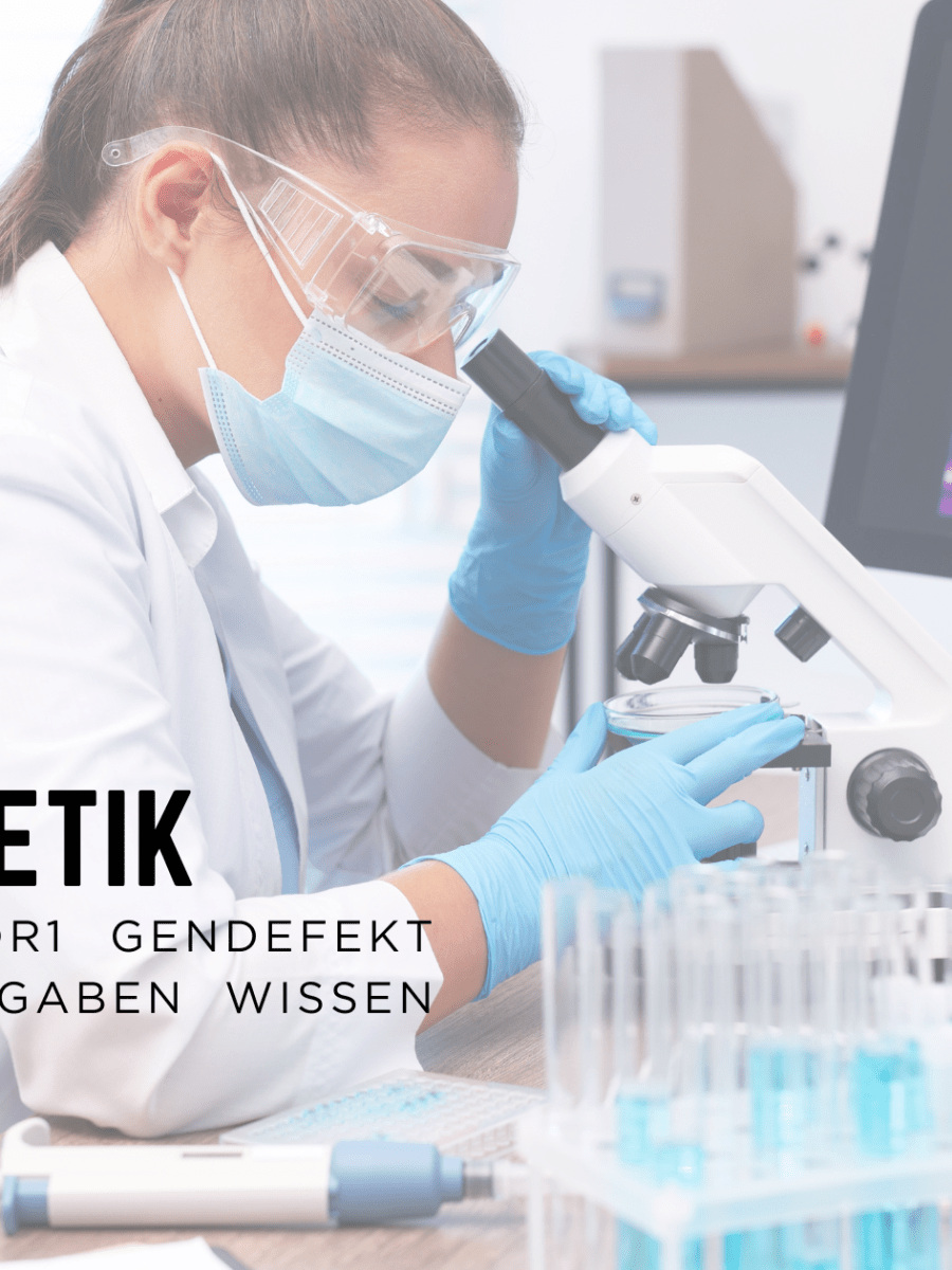 MDR1 Gendefekt – und was du dazu wissen&nbsp;solltest