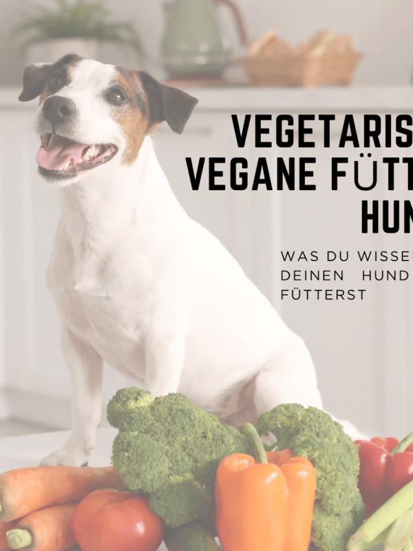 Kann ich meinen Hund vegetarisch/vegan ernähren?